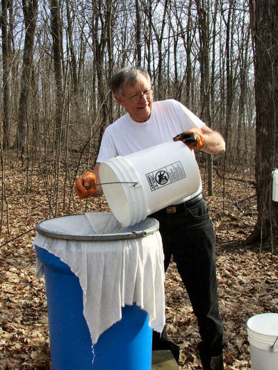 Poring Sap from a 5 Gallon Pail into one of 5 Collectiing Stations