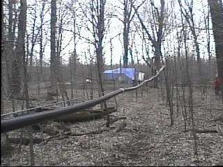 The New Maple Sap Pipeline From the Collecting Stations