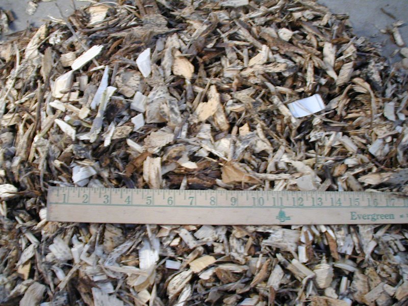Small Wood Chips with Ruler