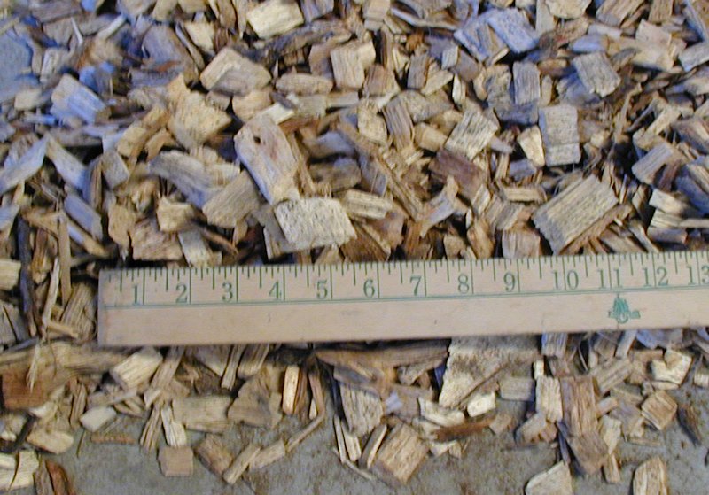 Large Wood Chips with Ruler