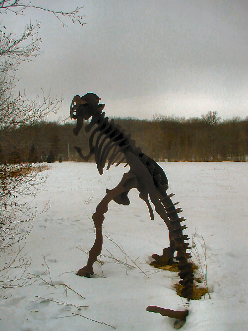 T Rex 11 Footer Rear View