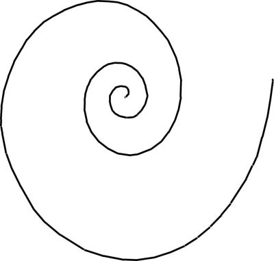 Nautilus External Scroll Vectors