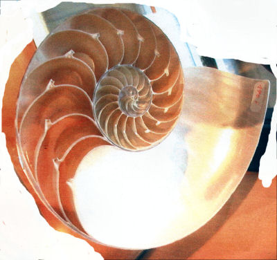 NautilusSeen as a Scroll Model