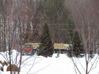 Truck parked on the road