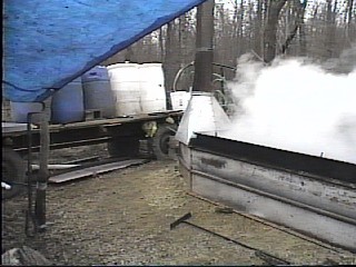 Outside Sap Evaporator with Barrels