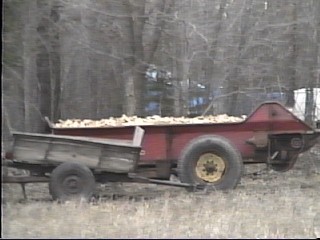 Scrap Wood for Boiling Maple Sap