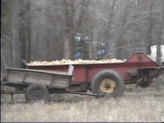 Scrap Wood for Boiling Maple Sap