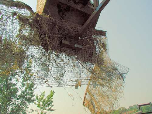 Thumb and Bucket Pinching a Cage